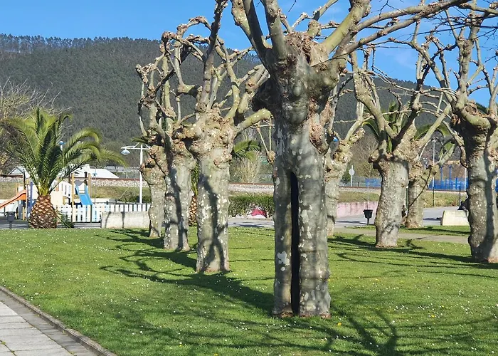 Apartamento Campanuca