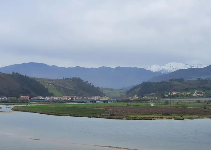 Campanuca * 温克拉